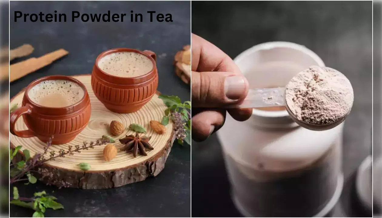 Protein Powder in Tea: Secret of Your Diet