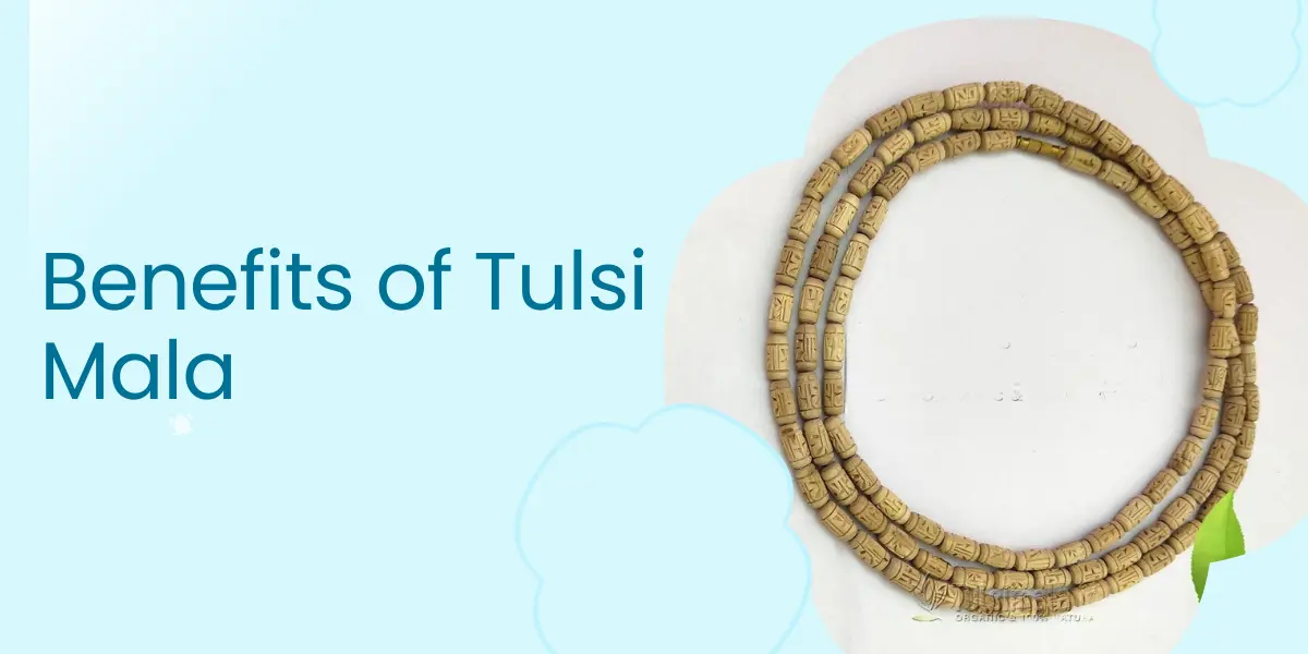 Benefits of Tulsi Mala: Importance & Benefits Of Divine Tulsi Mala